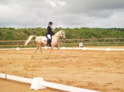 Alaska loudjil concours dressage arabe1