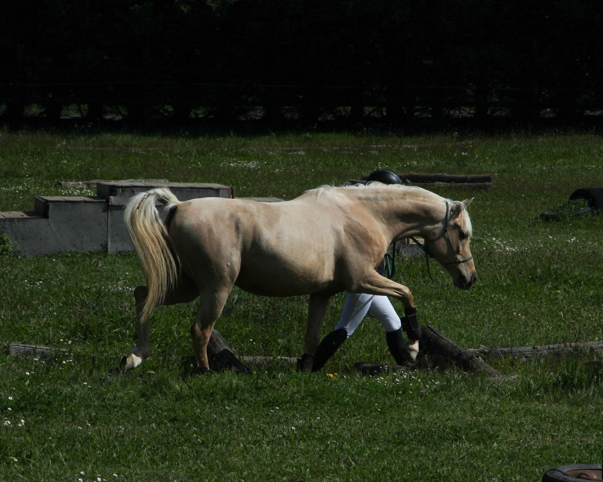 hadjan de loudjil 5ans