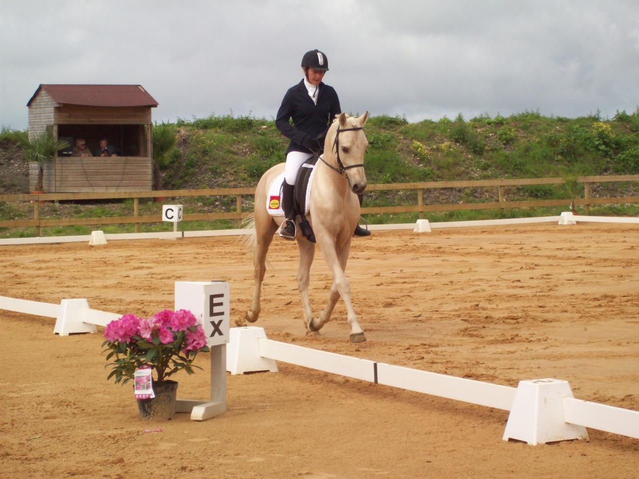 alaska loudjil concours dressage arabe