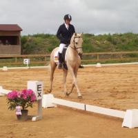 alaska loudjil concours dressage arabe
