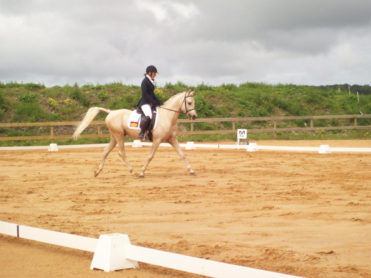 alaska loudjil concours dressage arabe1