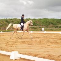 alaska loudjil concours dressage arabe1