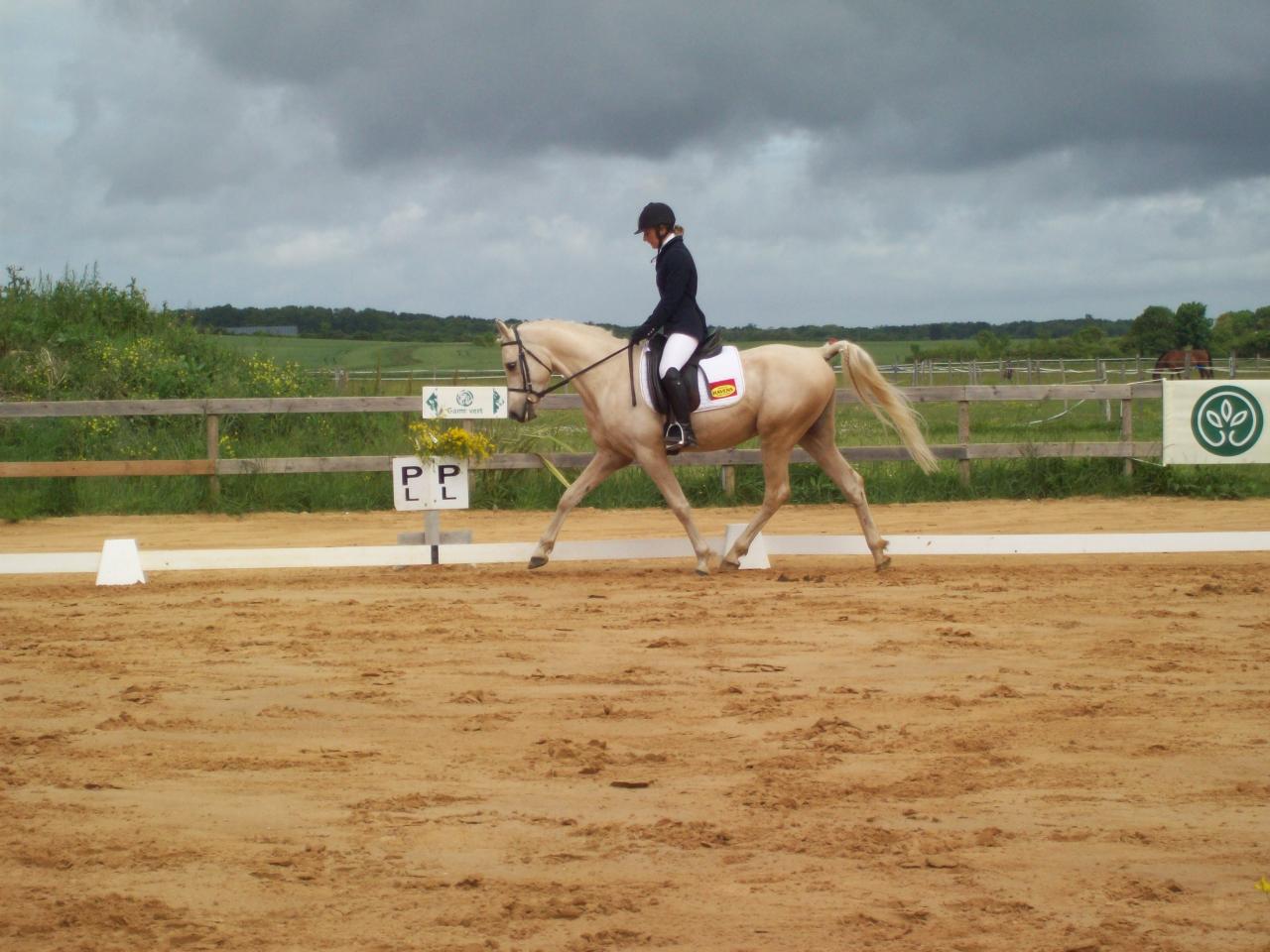 alaska loudjil concours dressage arabe2