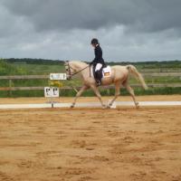 alaska loudjil concours dressage arabe2