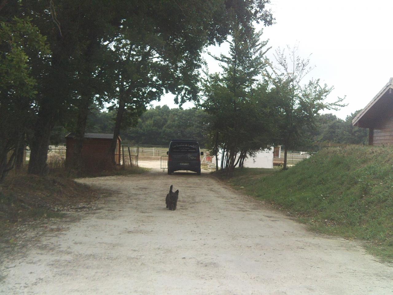 entrée principale écuries de loudjil