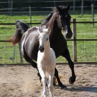 Madjan de loudjil 24