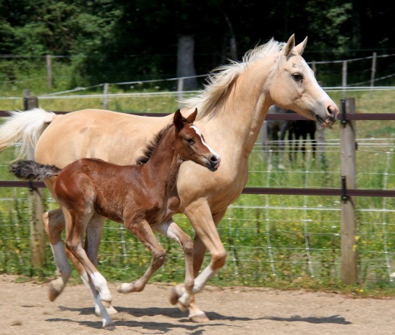 Nidjane de loudjil14