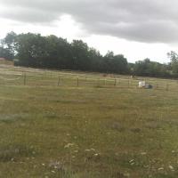 paddock écuries de loudjil