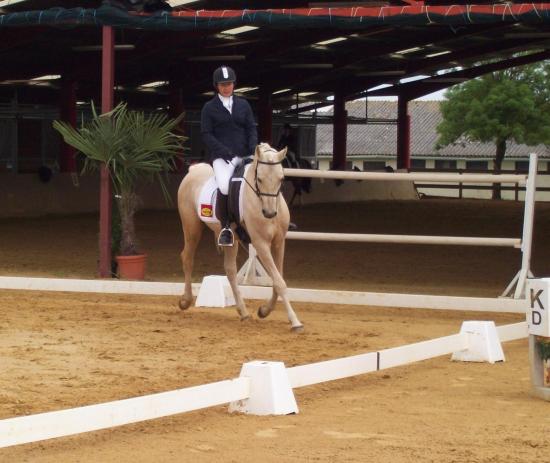 Dsa ecurie de loudjil concours dressage