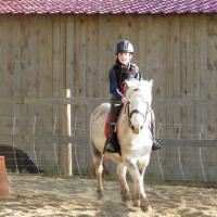 PISTACHE